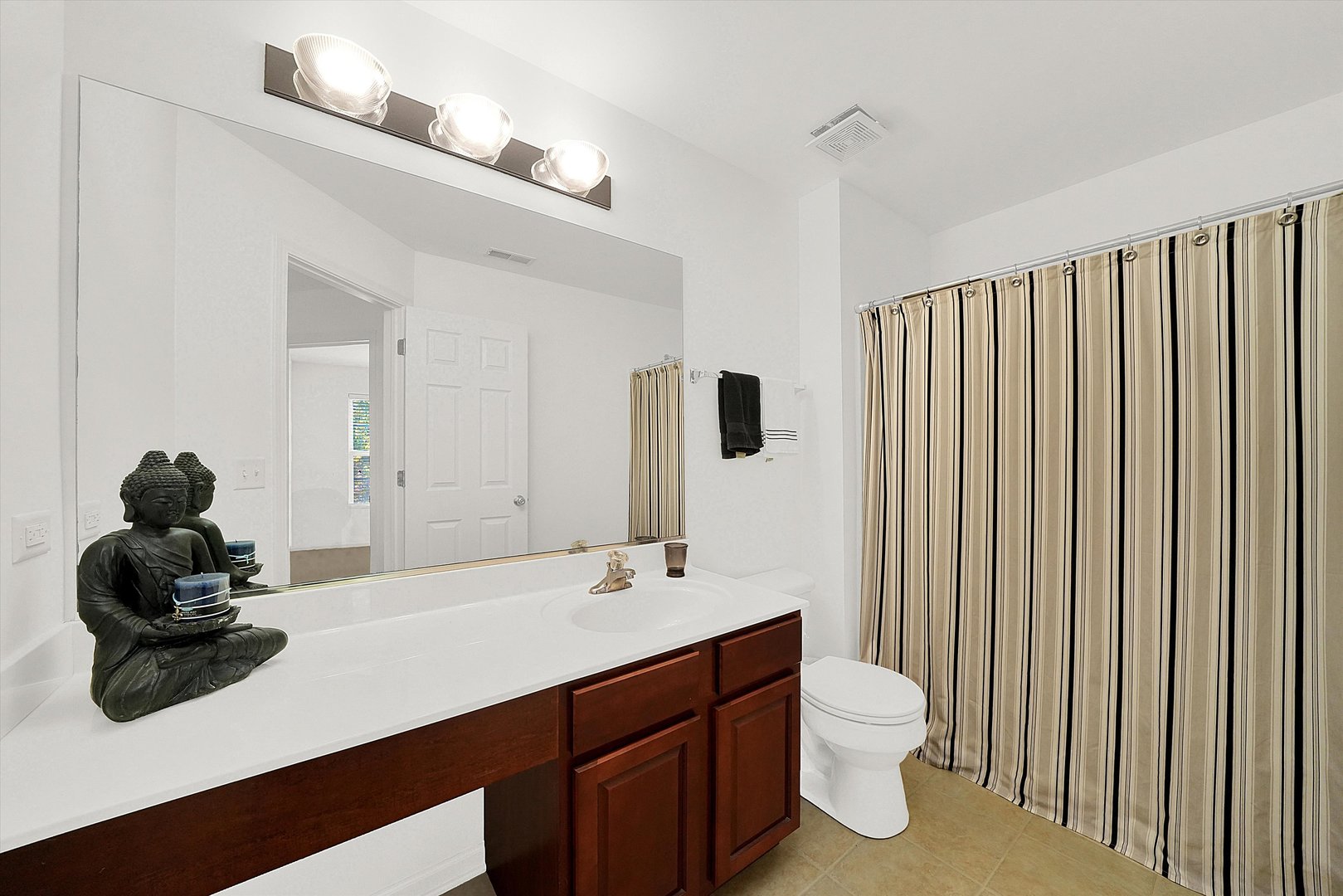 1956 West Cobblestone Road Romeoville, IL 60446 - Photo 8 of 14 a bathroom with a sink vanity and a mirror
