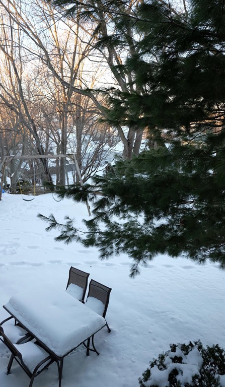 182 Governors Road Quincy, MA 02169 - Photo 15 of 15 a view of a yard in a yard