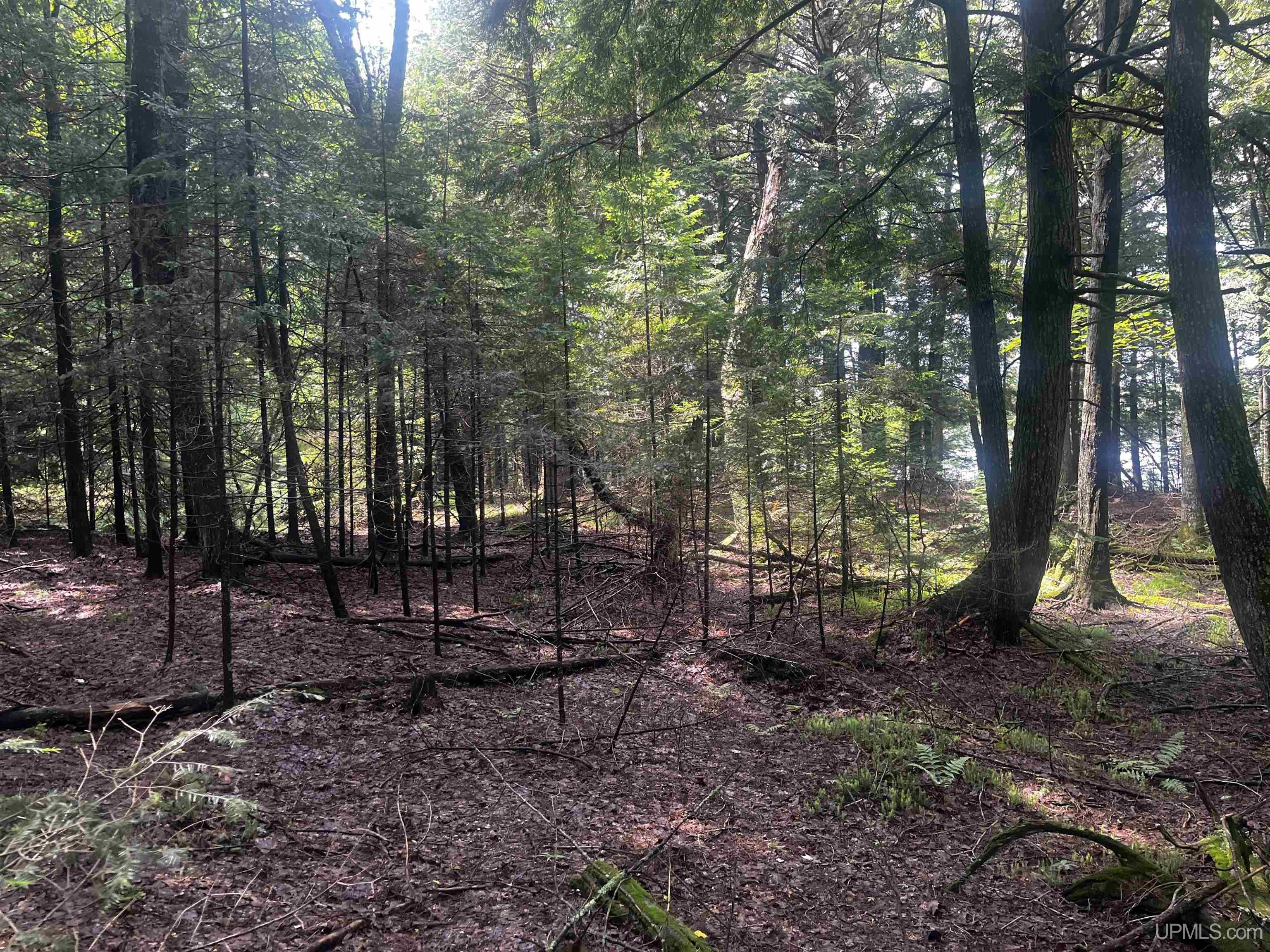 Parcel 1 Grant Lake Road Republic, MI 49879 - Photo 15 of 23