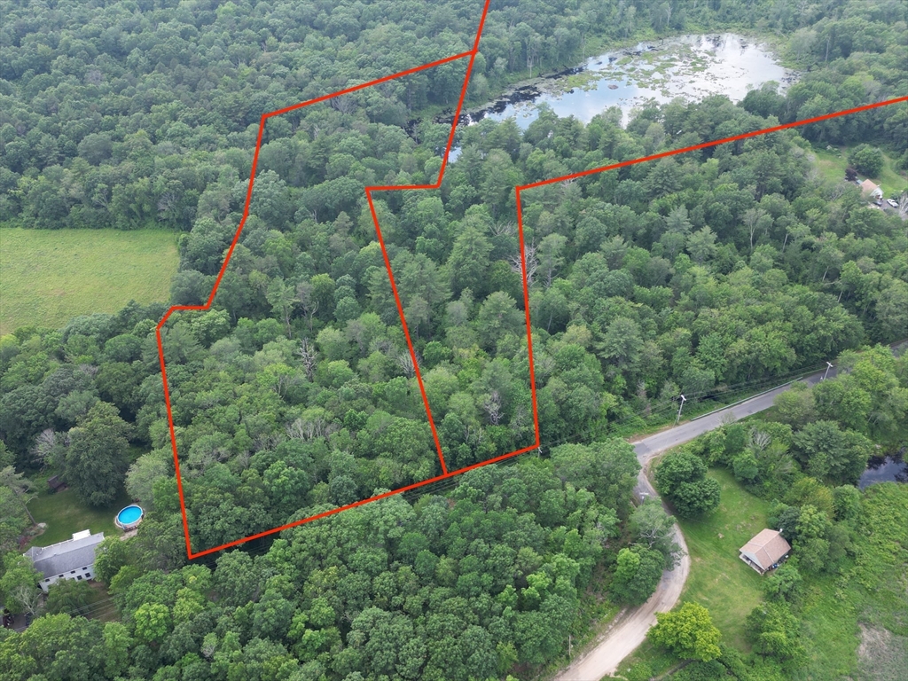 a view of a city and flowers