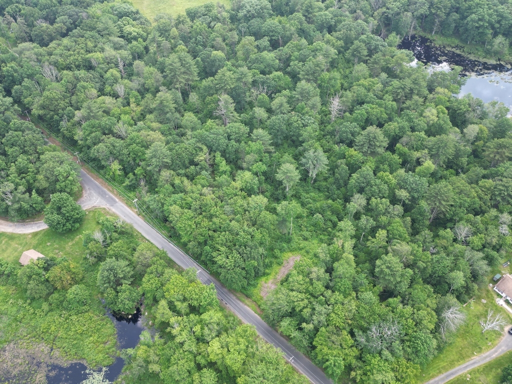 0 Town Farm Road Warren, MA 01083 - Photo 11 of 28 view of a green field with lots of bushes