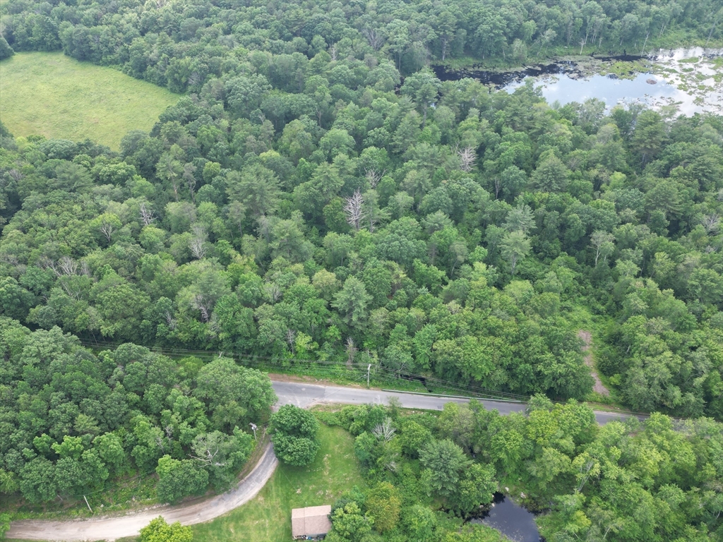 0 Town Farm Road Warren, MA 01083 - Photo 12 of 28 a view of a forest with a street