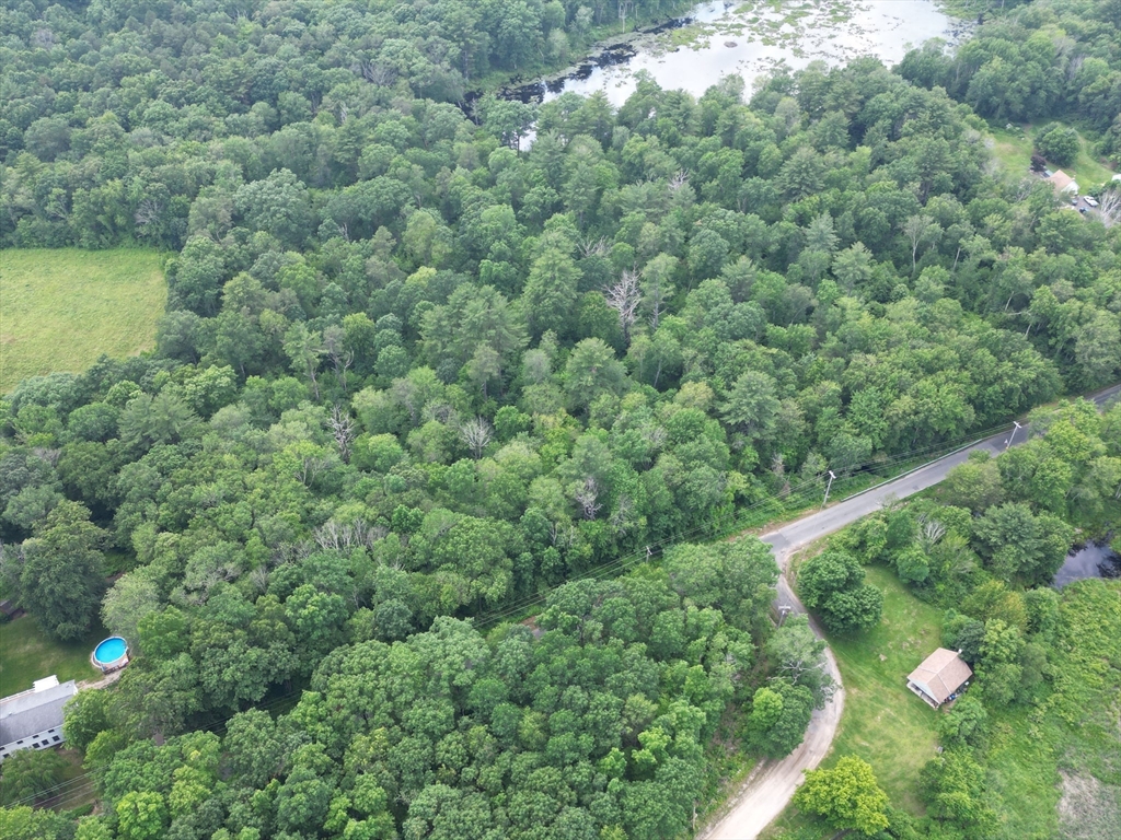 0 Town Farm Road Warren, MA 01083 - Photo 13 of 28 a view of a forest with a street