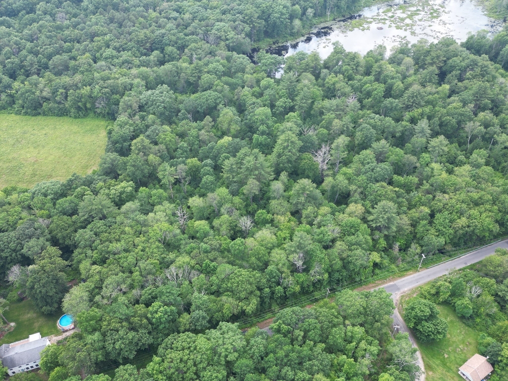 0 Town Farm Road Warren, MA 01083 - Photo 14 of 28 a view of a forest with a street
