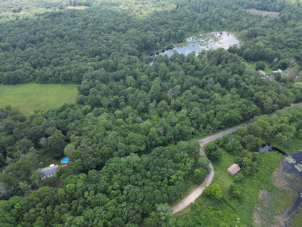 0 Town Farm Road Warren, MA 01083 - Photo 15 of 28 a view of a green yard with large trees