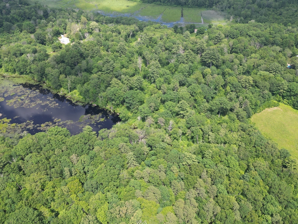 0 Town Farm Road Warren, MA 01083 - Photo 19 of 28 a view of a lush green forest