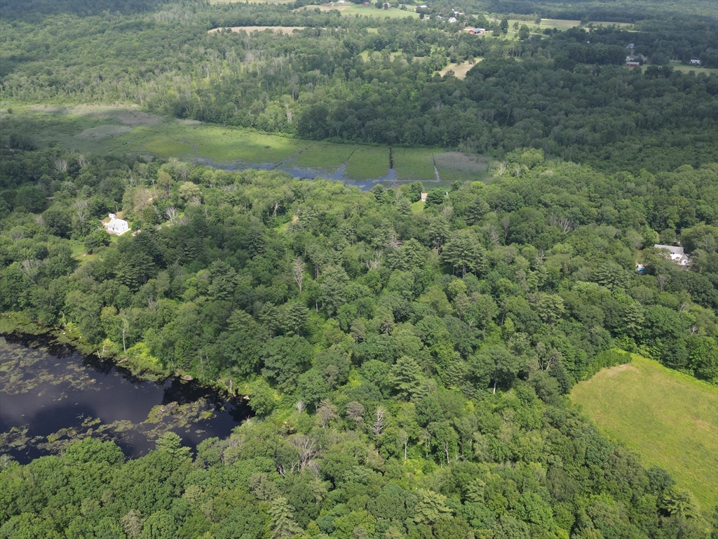0 Town Farm Road Warren, MA 01083 - Photo 20 of 28 a view of a forest with a street