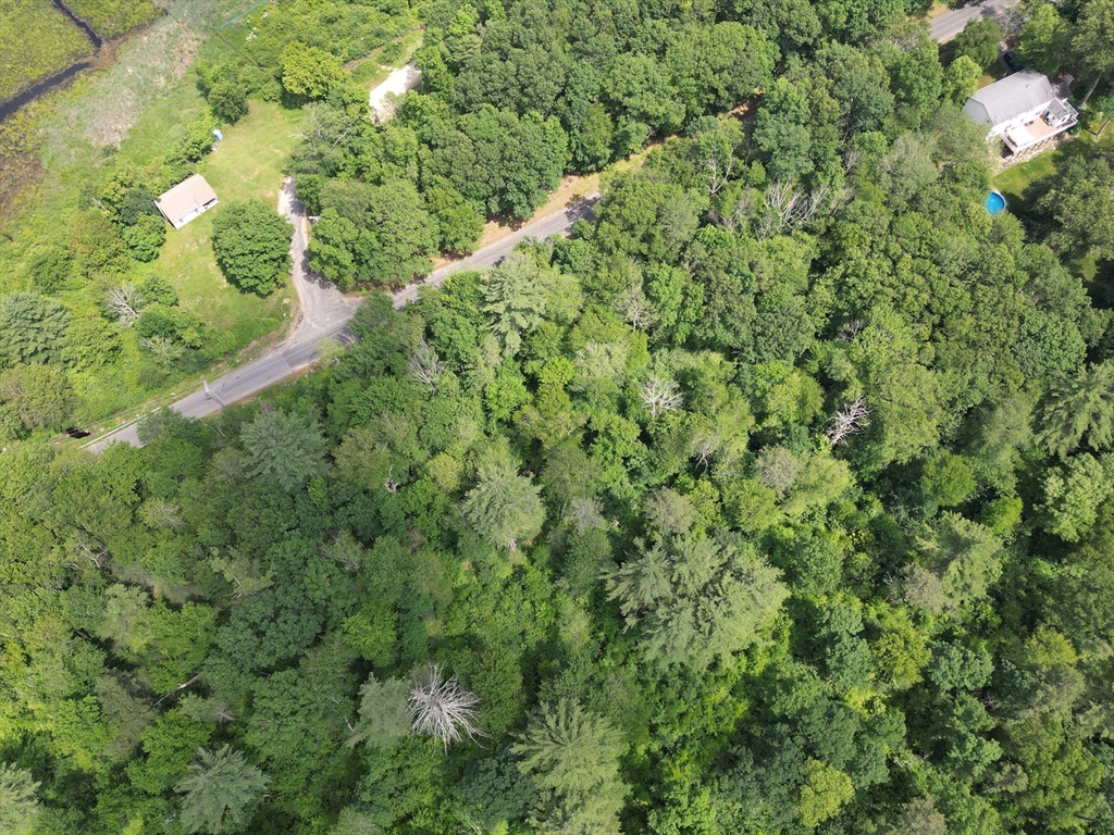 0 Town Farm Road Warren, MA 01083 - Photo 22 of 28 a view of a lush green forest with lots of trees