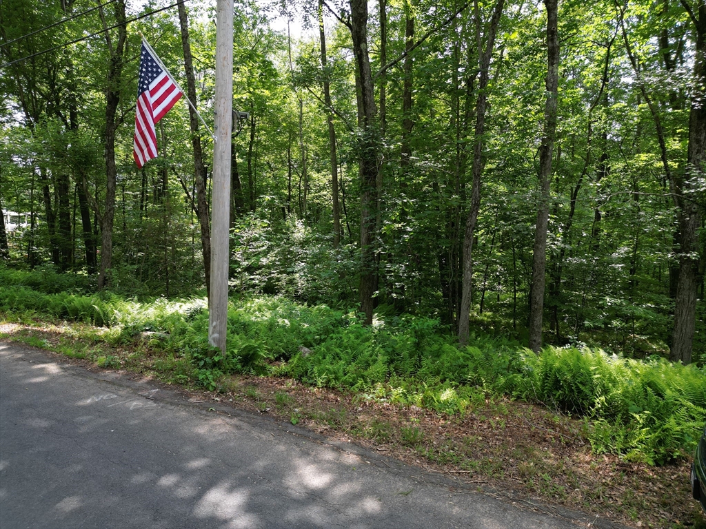 0 Town Farm Road Warren, MA 01083 - Photo 24 of 28 a flag is sitting in the middle of forest