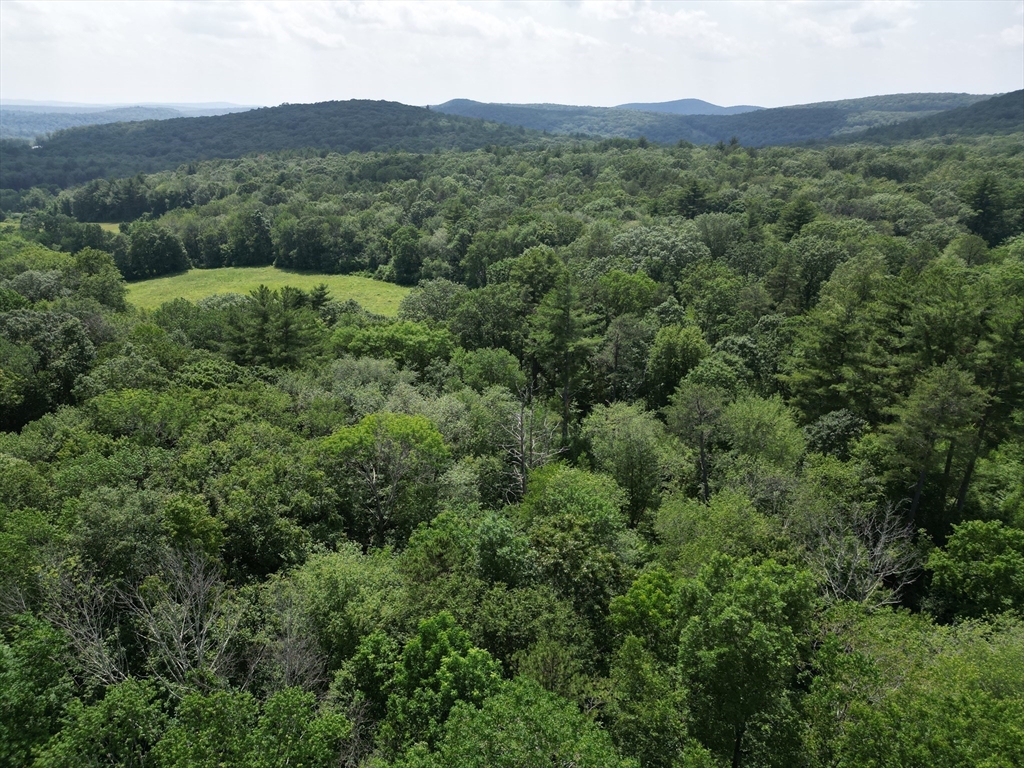 0 Town Farm Road Warren, MA 01083 - Photo 3 of 28 a view of a lush green forest with lush green forest