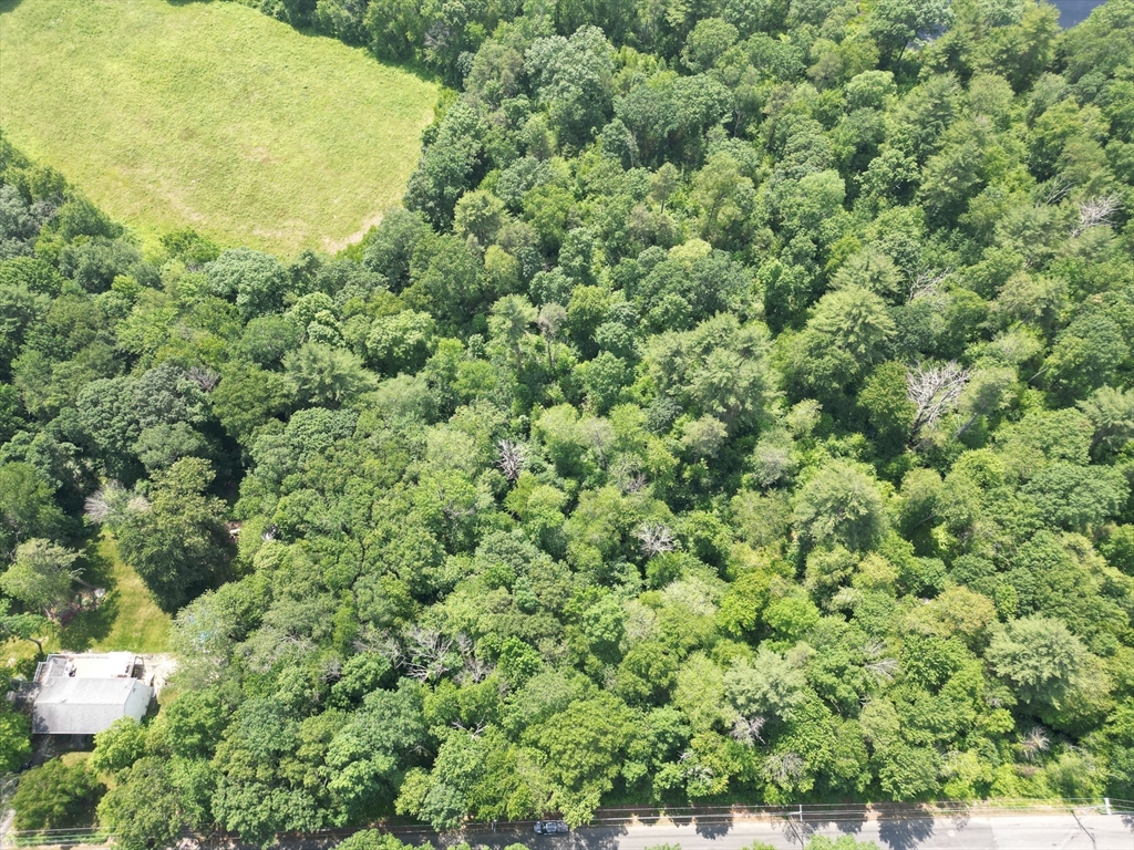 0 Town Farm Road Warren, MA 01083 - Photo 6 of 28 a view of a bunch of trees and bushes