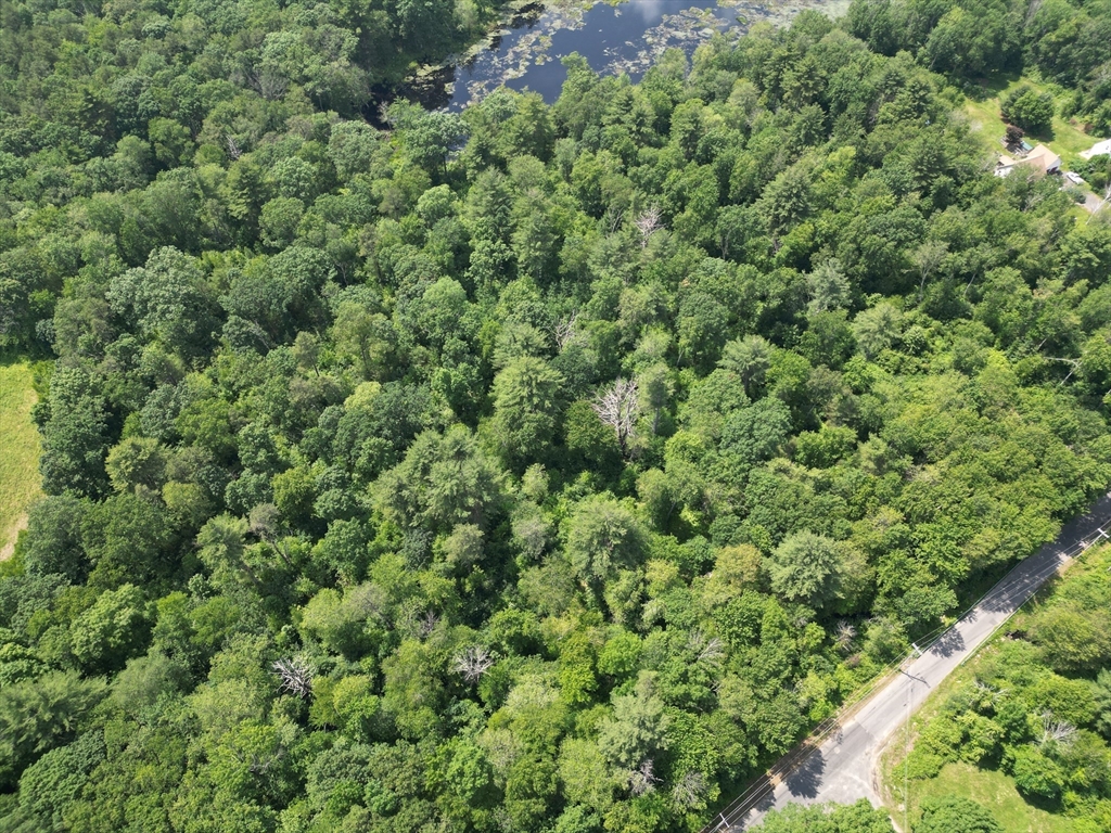 0 Town Farm Road Warren, MA 01083 - Photo 7 of 28 a view of a large yard with lots of green space