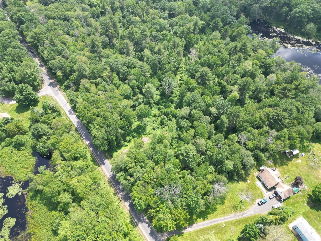 0 Town Farm Road Warren, MA 01083 - Photo 8 of 28 a view of a forest with a tree