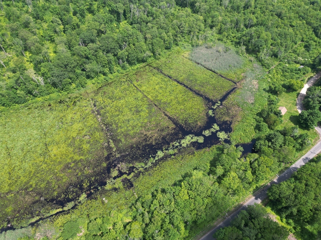 0 Town Farm Road Warren, MA 01083 - Photo 9 of 28 a view of a yard