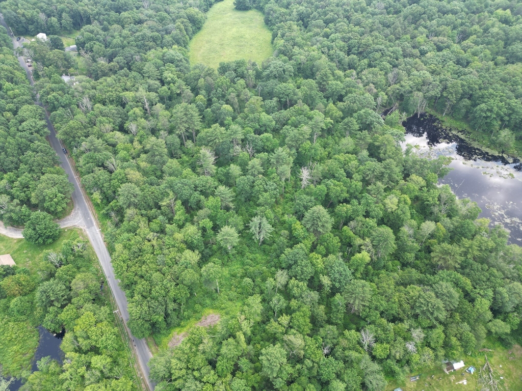 0 Town Farm Road Warren, MA 01083 - Photo 10 of 28 a view of a forest with a houses