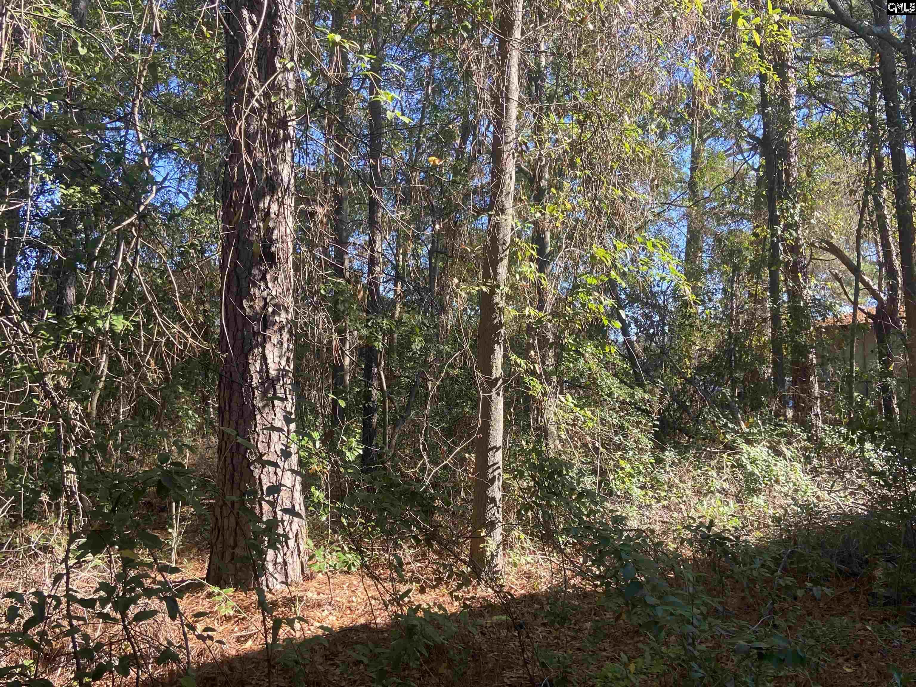 2493 Main Street Elgin, SC 29045 - Photo 15 of 15