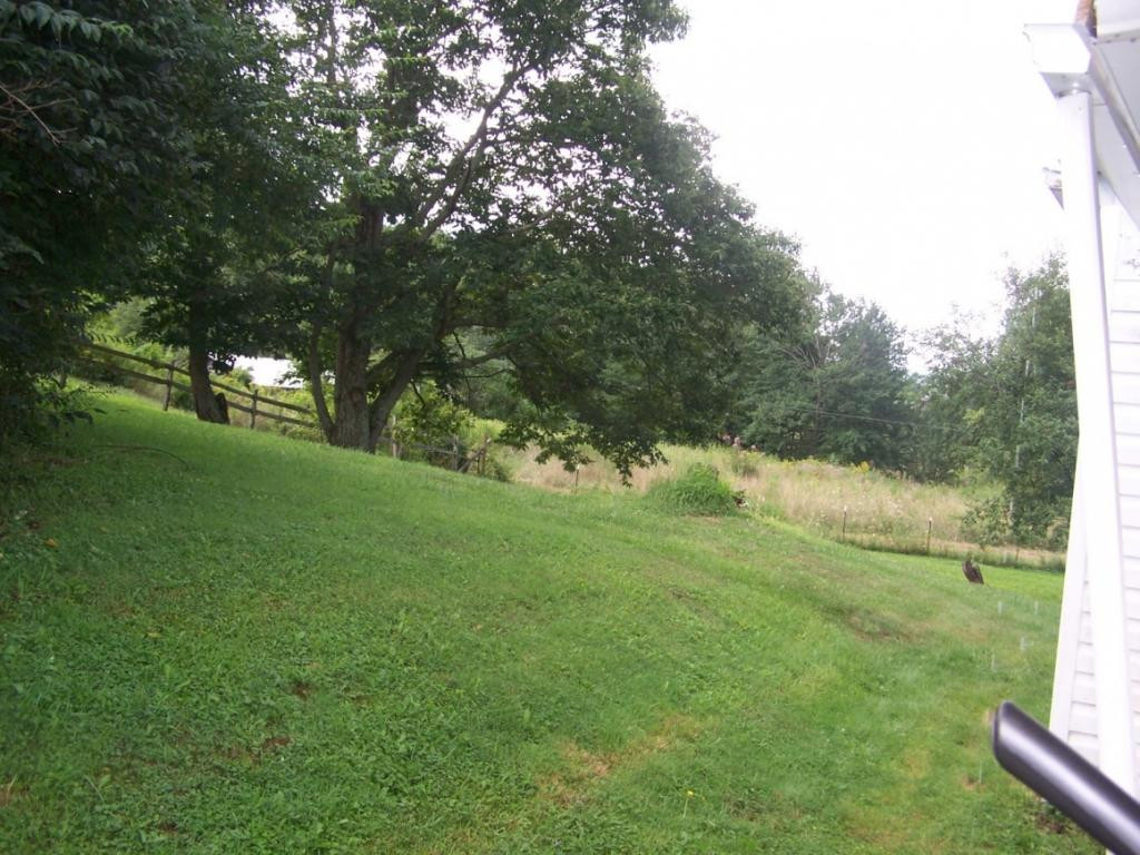 220 Brickyard Branch Road Shady Valley, TN 37688 - Photo 7 of 33 Photo 8