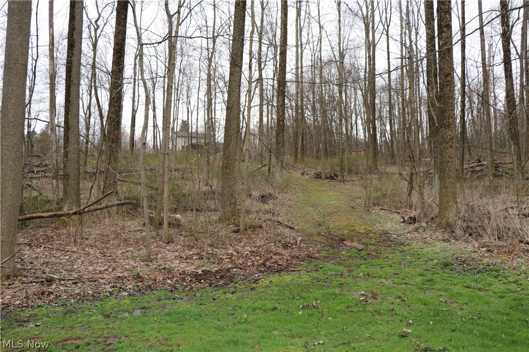 8475 Chestnut Ridge Road Northwest Beach City, OH 44608 - Photo 17 of 35 Gallery Image 17