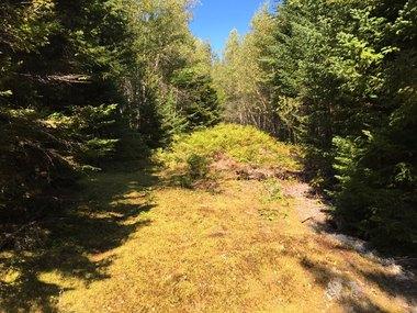 Map6-lot3 Sherman Road Robbinston, ME 04671 - Photo 1 of 10 10