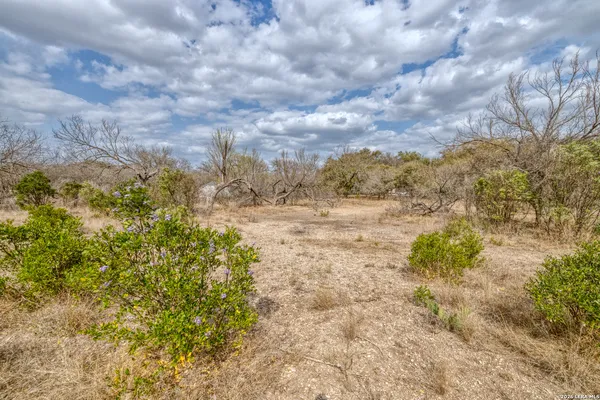 a view of outdoor space and garden