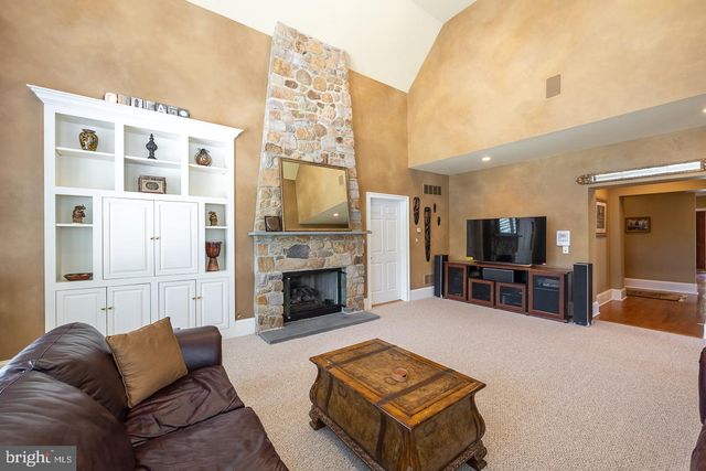 a view of a glass door with a tree in front of it