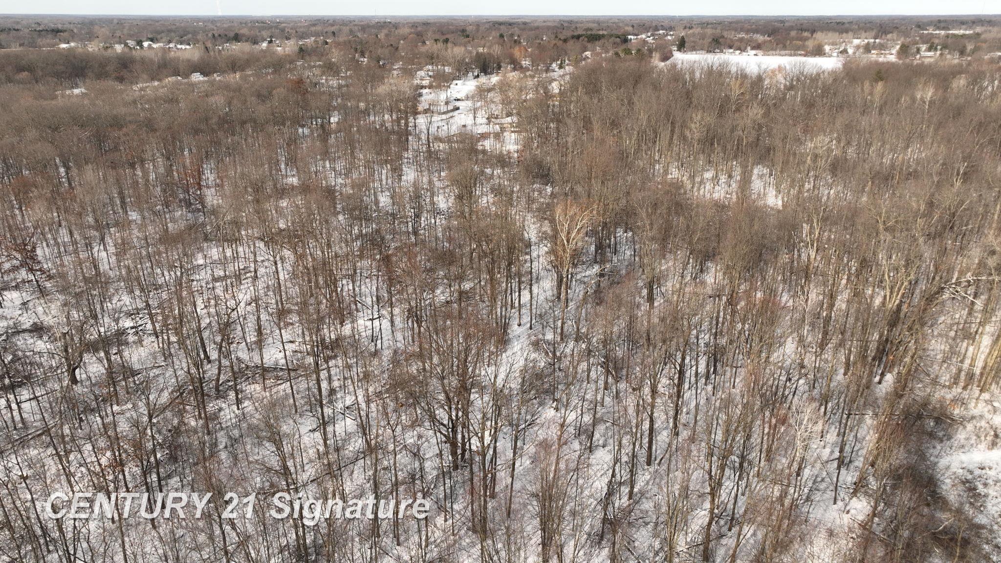 -vl West Dodge Road Clio, MI 48420 - Photo 20 of 24 Gallery Image 20