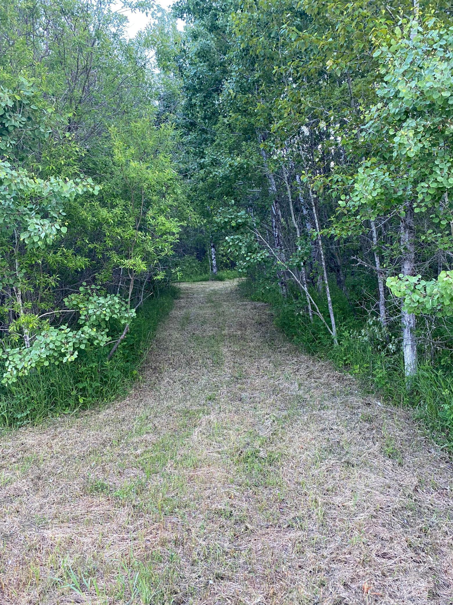 Tbd 63rd Street Southwest Baudette, MN 56623 - Photo 9 of 13