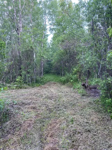 $240,900 | Tbd 63rd Street Southwest, Baudette, MN 56623