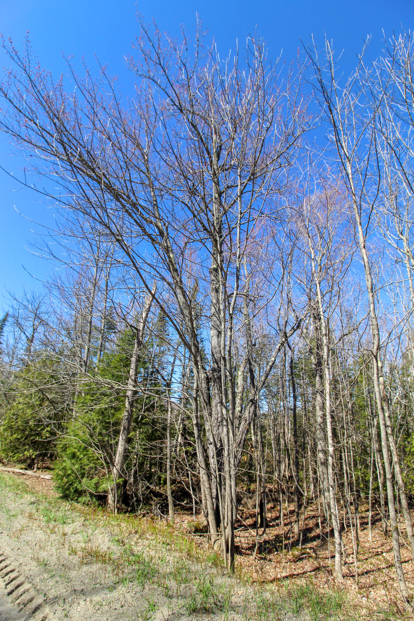 Lot 68 Kennebec Road Hampden, ME 04444 - Photo 31 of 39 View