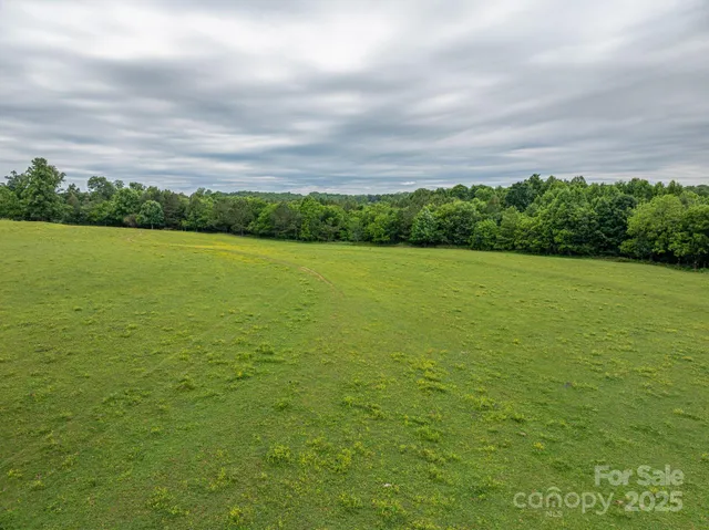 a view of an ocean from a yard