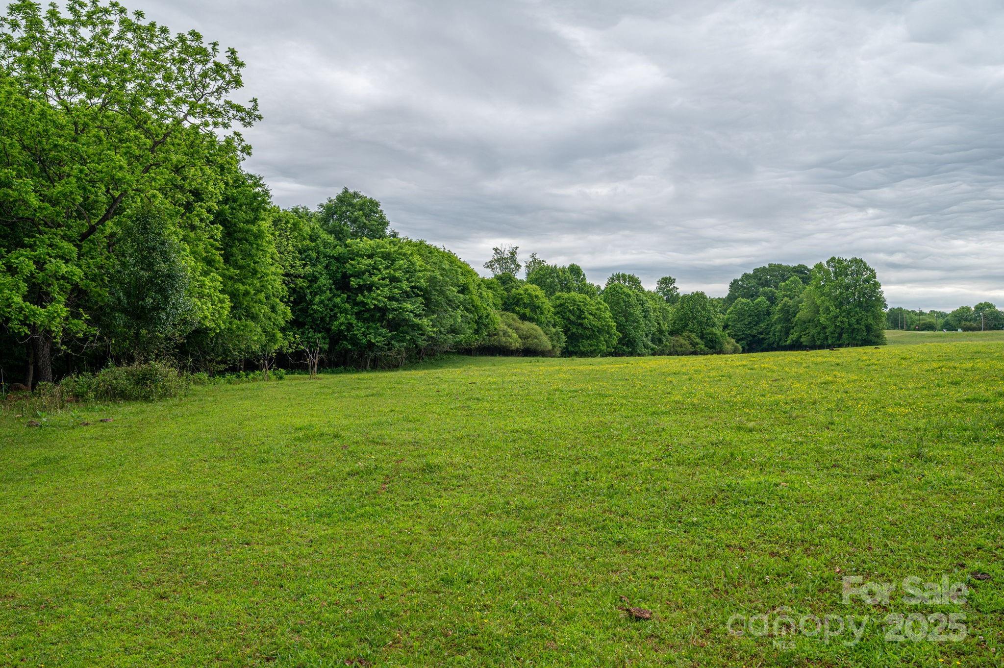 0 Wells Road Vale, NC 28168 - Photo 21 of 32