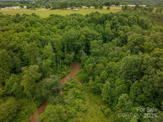 a view of a forest with a houses