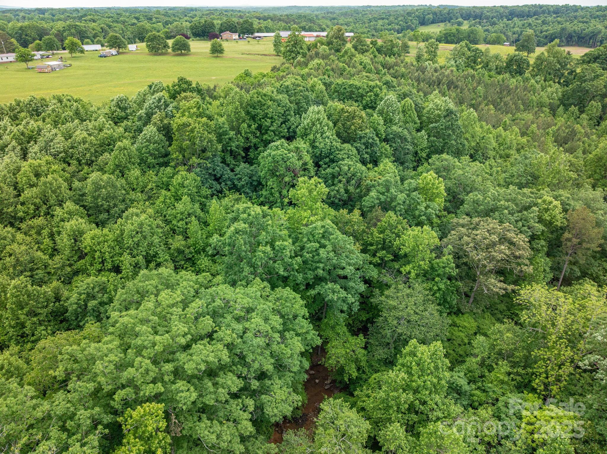 0 Wells Road Vale, NC 28168 - Photo 30 of 32