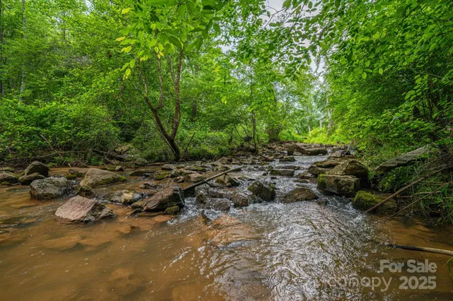 a view of a forest with lawn chairs