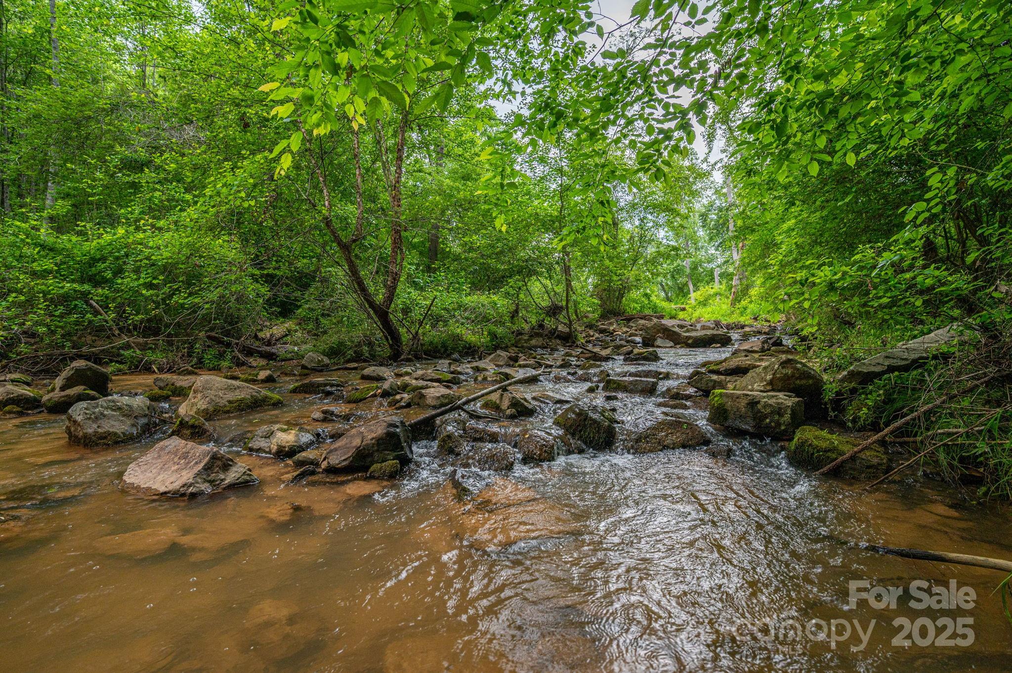 0 Wells Road Vale, NC 28168 - Photo 4 of 32