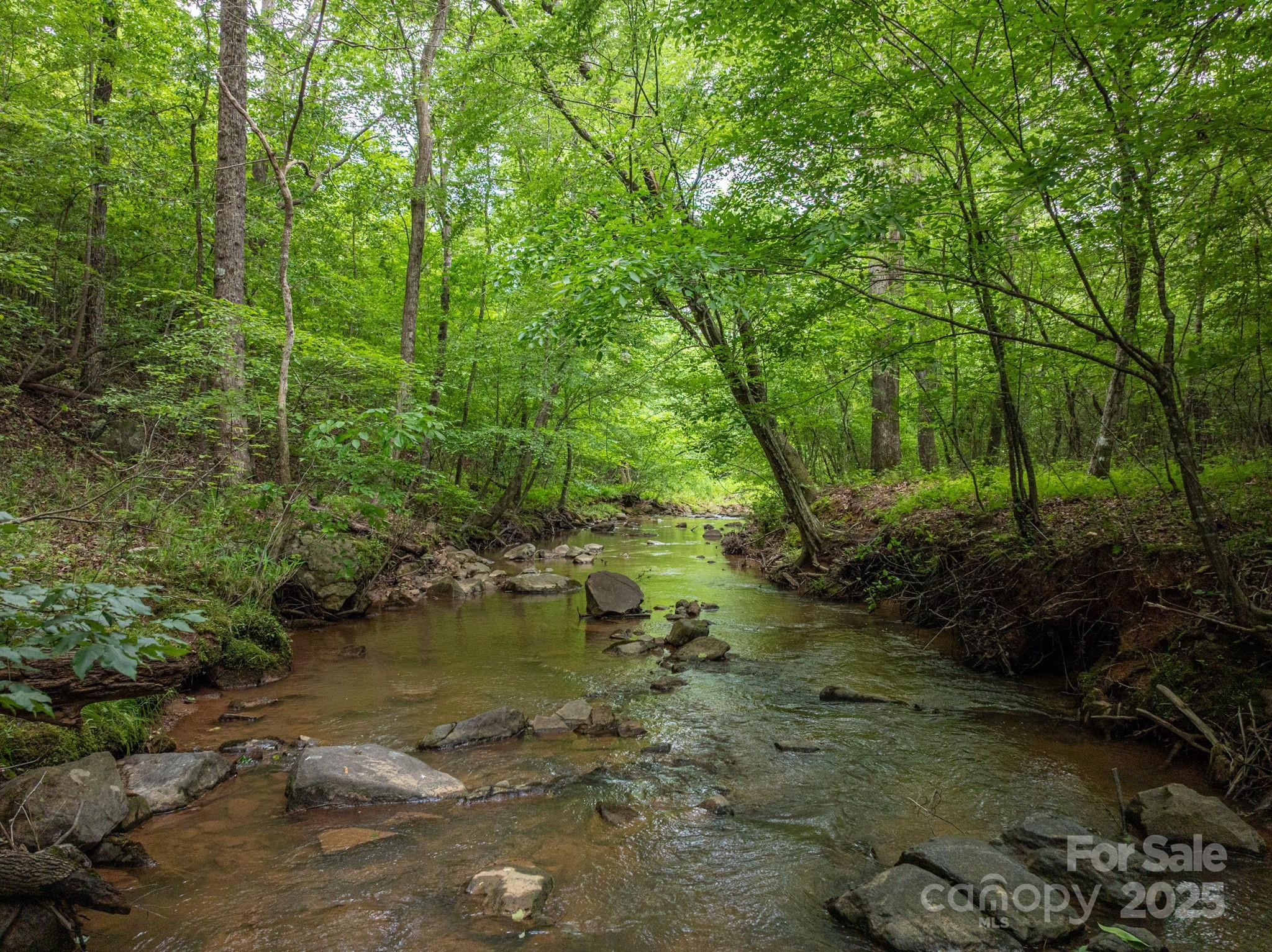 0 Wells Road Vale, NC 28168 - Photo 6 of 32