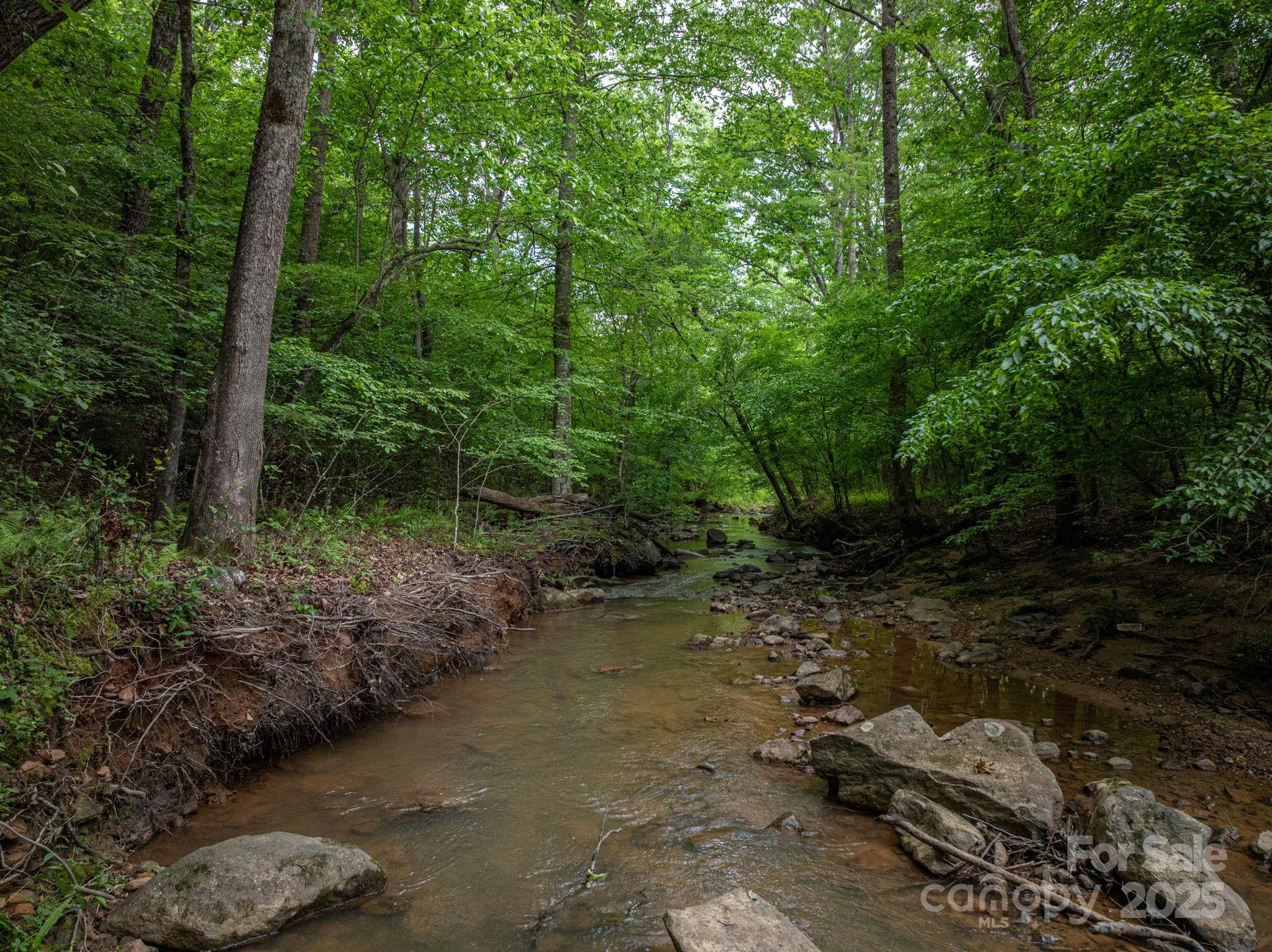 0 Wells Road Vale, NC 28168 - Photo 7 of 32