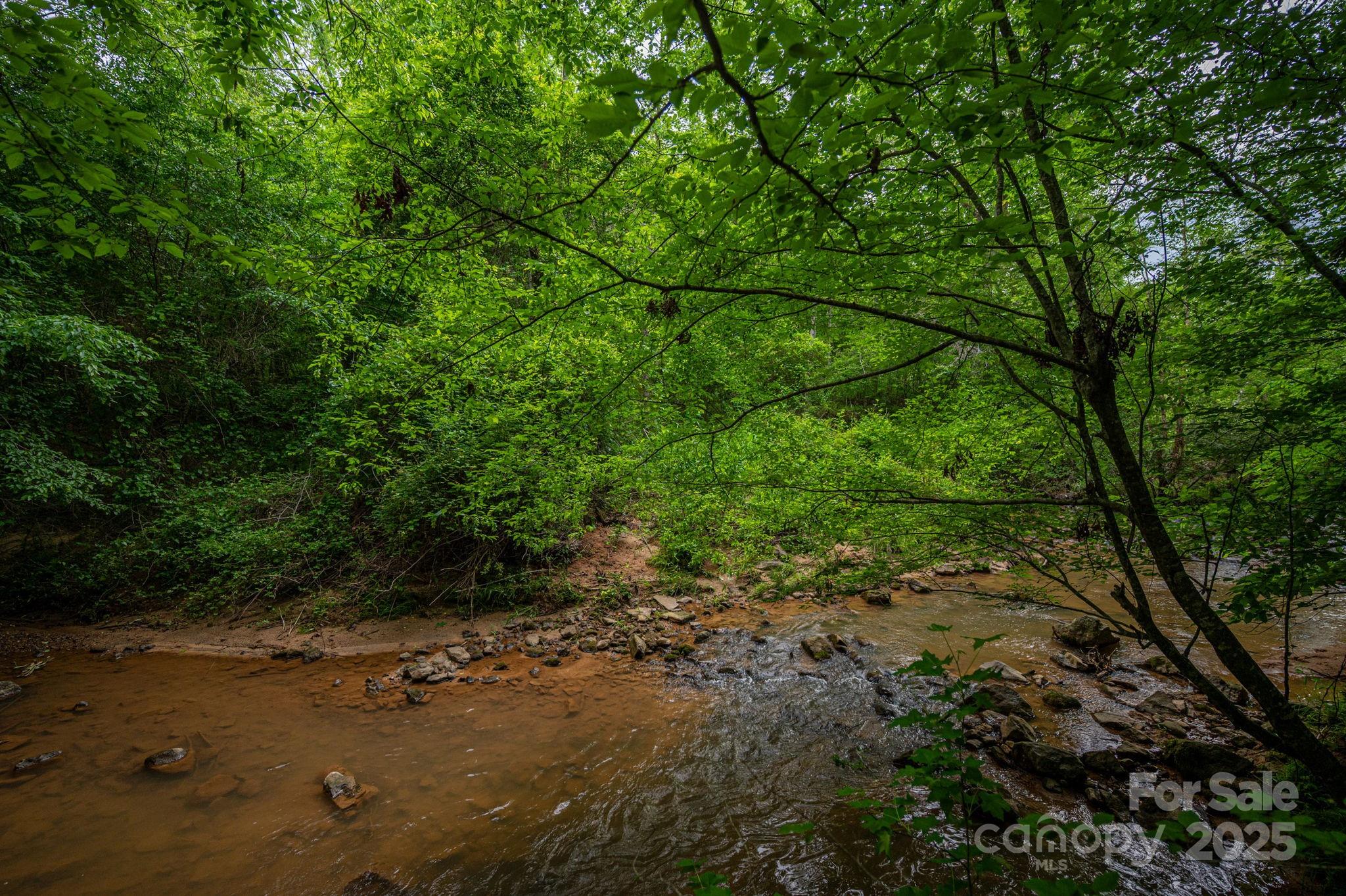 0 Wells Road Vale, NC 28168 - Photo 9 of 32