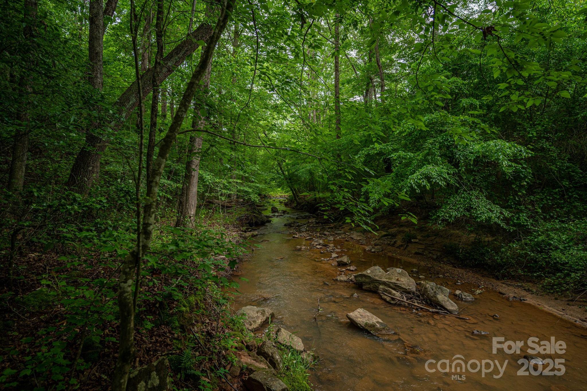 0 Wells Road Vale, NC 28168 - Photo 10 of 32