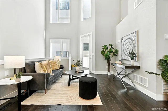 a living room with furniture a rug potted plant and a window