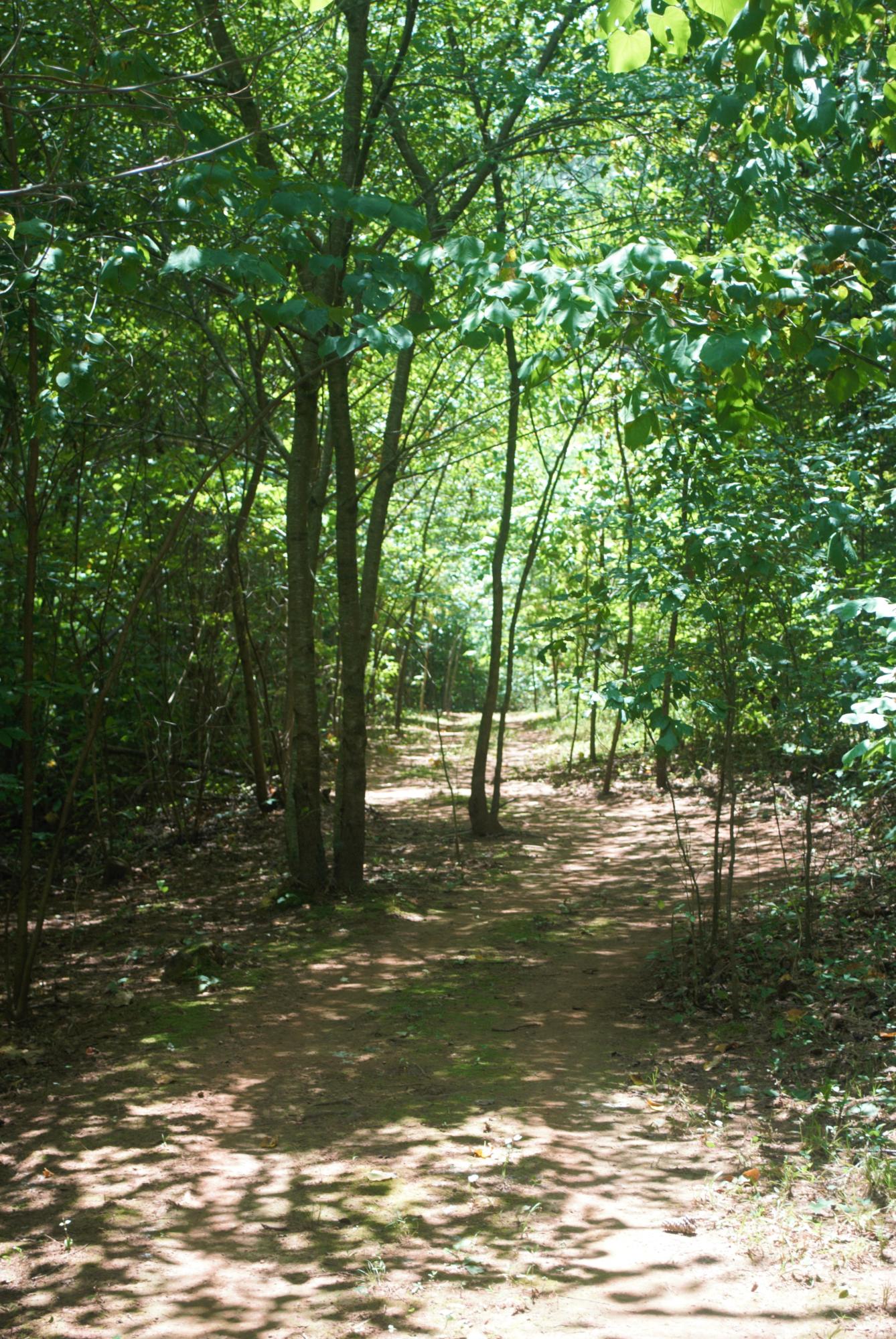 1196 Bronco Road LaFayette, GA 30728 - Photo 17 of 39 H16