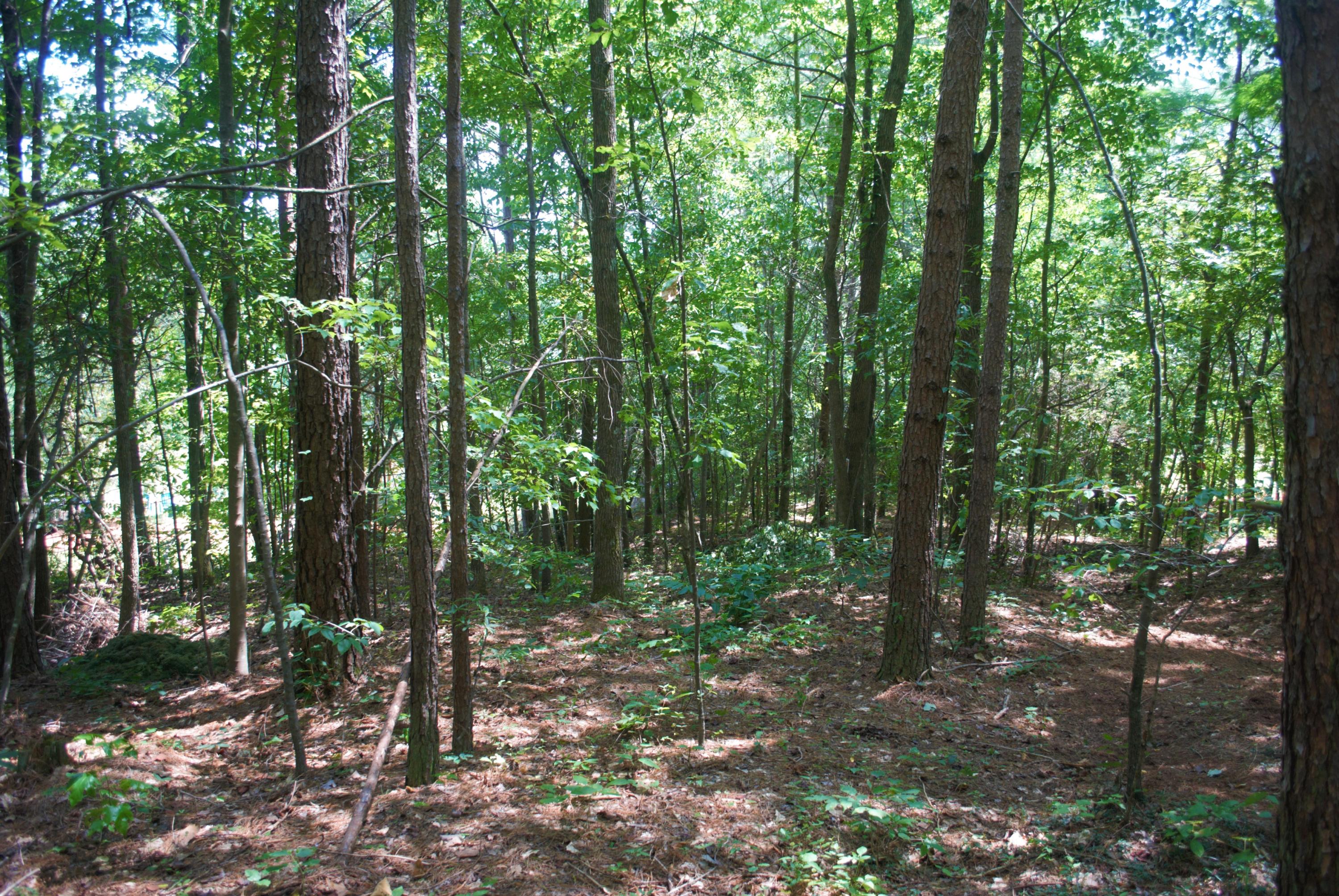 1196 Bronco Road LaFayette, GA 30728 - Photo 19 of 39 H 15