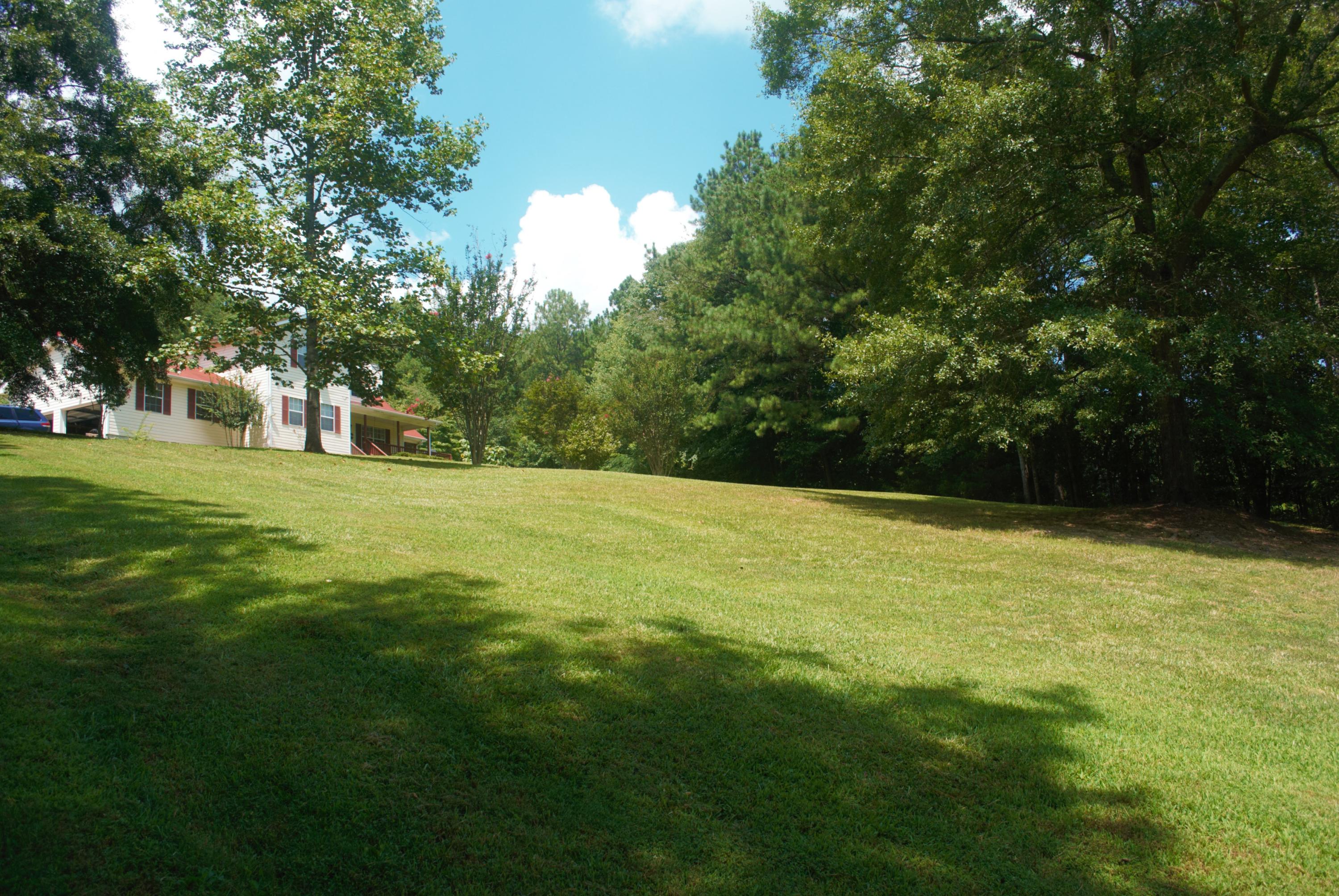 1196 Bronco Road LaFayette, GA 30728 - Photo 2 of 39 HUDSON-BRONCO RD YARD 4