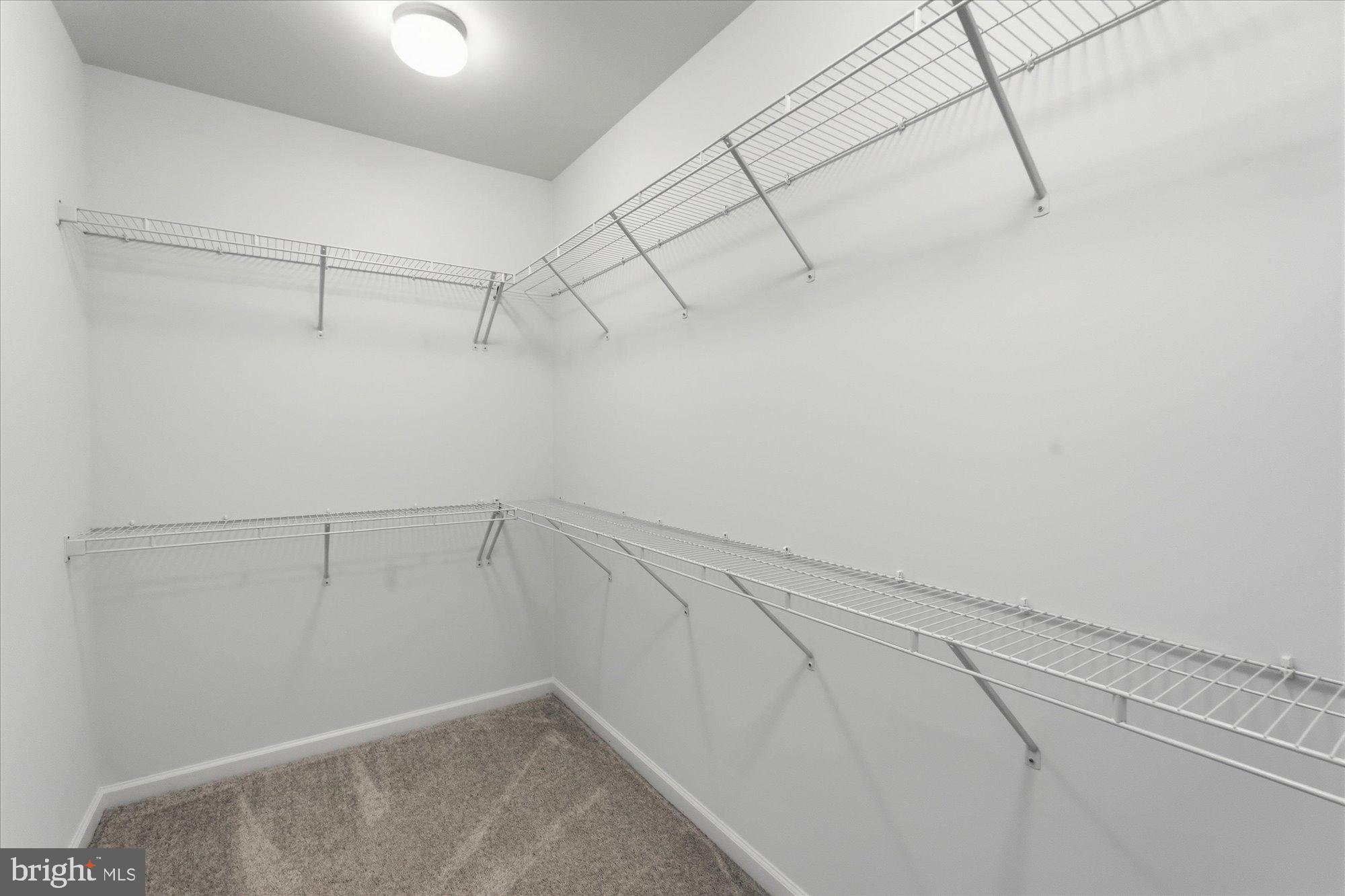 20650 Hope Spring Terrace, Unit 301 Ashburn, VA 20147 - Photo 25 of 35 Walk-in closet