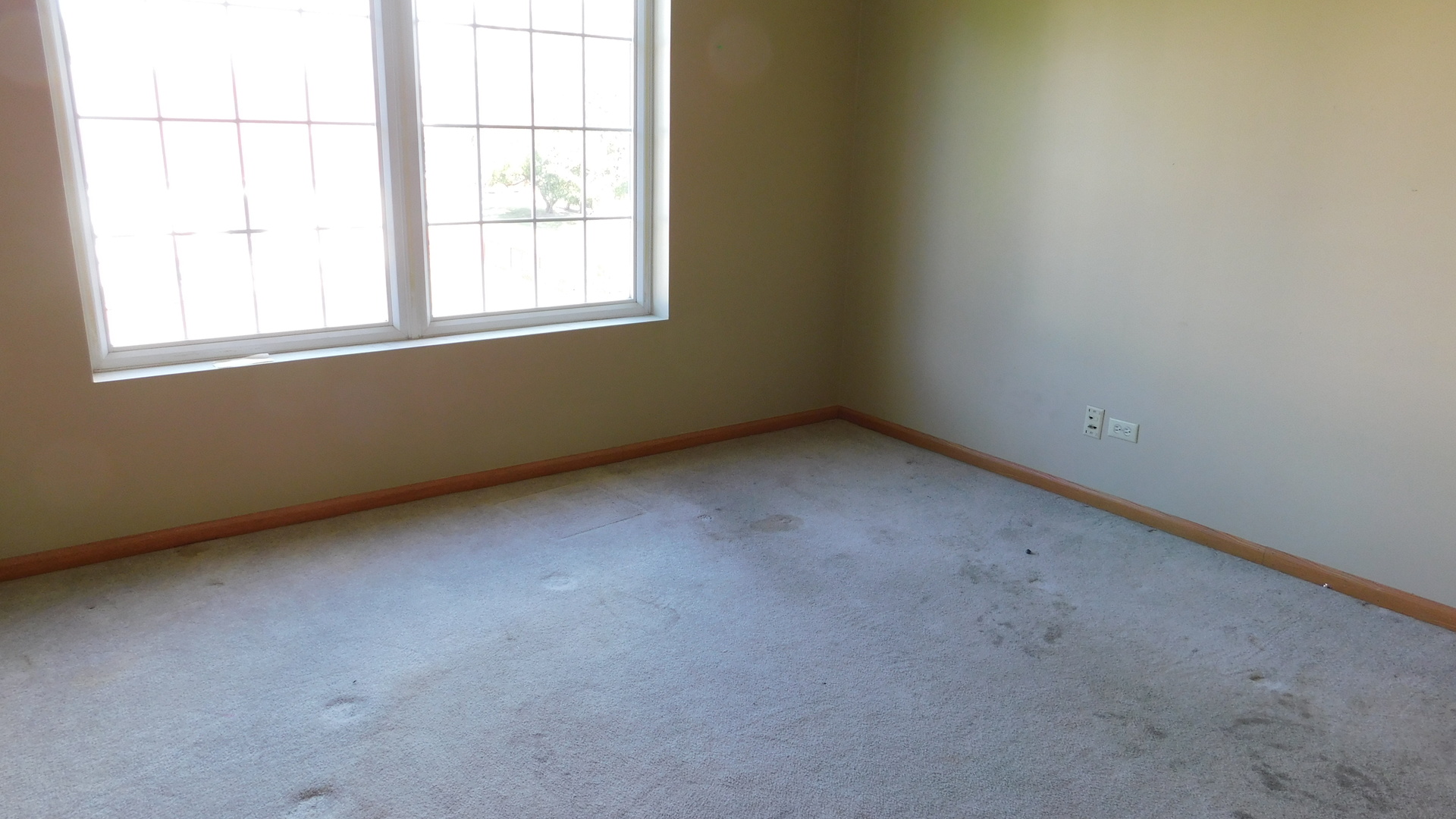 1802 Prairie Ridge Drive Plainfield, IL 60586 - Photo 17 of 26