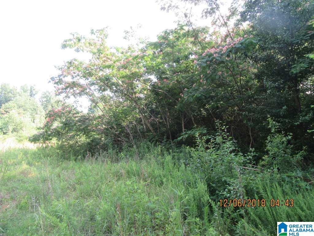 0 Cedar Bend Road Gadsden, AL 35907 - Photo 17 of 28