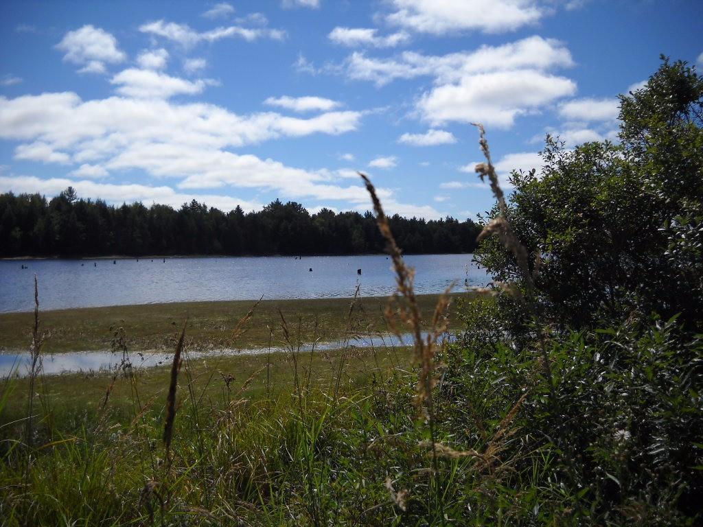 167 Silsby Road Ellsworth, ME 04605 - Photo 5 of 10 Photo