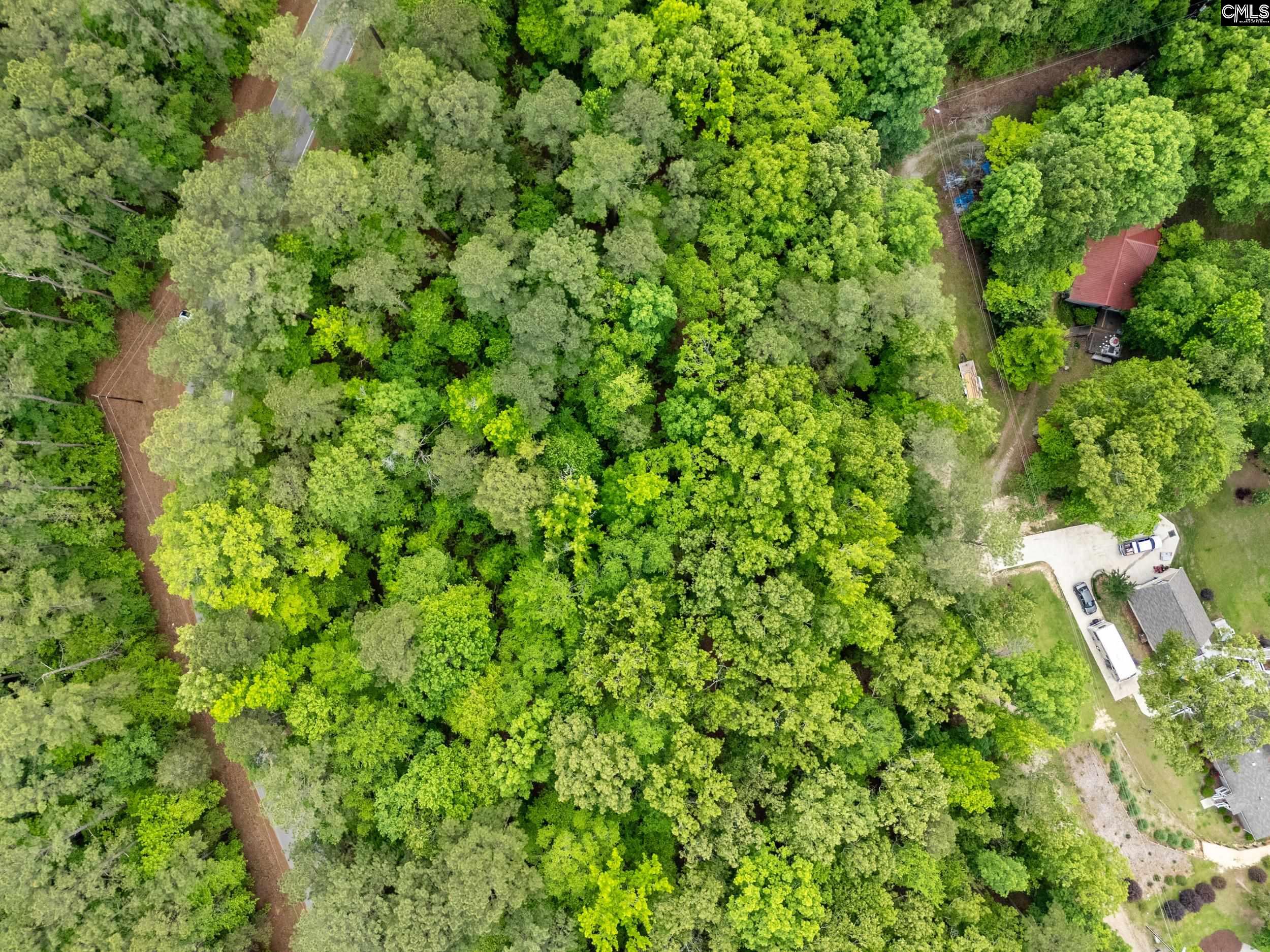 1427-3 Buck Hill Landing Road Ridgeway, SC 29130 - Photo 1 of 30