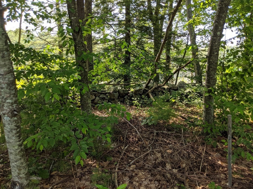35 Northside Road Charlton, MA 01507 - Photo 20 of 30 Gallery Image 20
