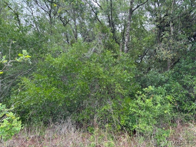 93 North Croft Avenue Inverness, FL 34453 - Photo 2 of 8